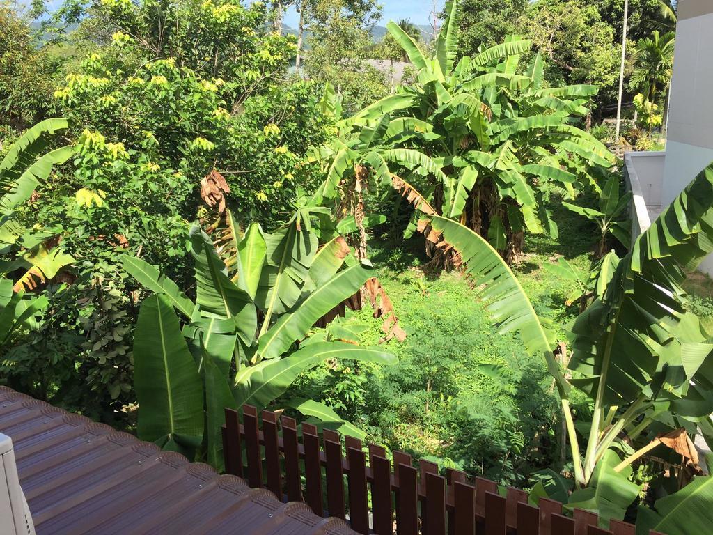 Samui Paca Place Маенам Экстерьер фото